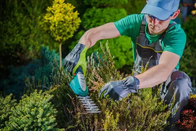 landscaping services Kiln